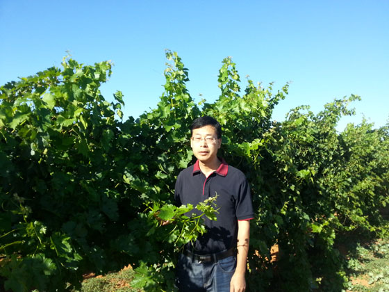 Chinese Winemakers (59)Chen Qingchang:Chasing Dreams in Weilong 