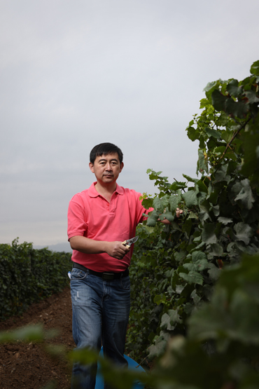 Chinese Winemakers (60) Li Demei: Winemaking is starting point also goal