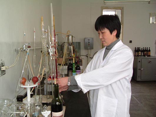 Chinese Winemakers (61) Wang Huanxiang:Love the caree of winemaking 