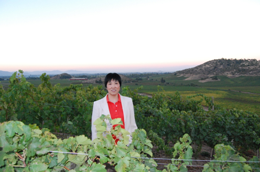 Chinese Winemakers (61) Wang Huanxiang:Love the caree of winemaking 