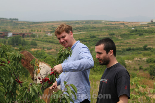 The 28th Class of OIV MSc Finished China Wine Study