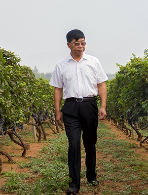 中国酿酒大师，中粮酒业长城酒事业部供应链管理中心副总经理。