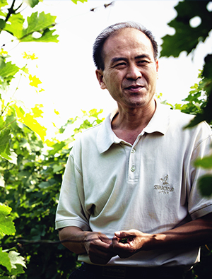 中国葡萄酒技术委员会委员，朗格斯酒庄（秦皇岛）有限公司首席酿酒师。